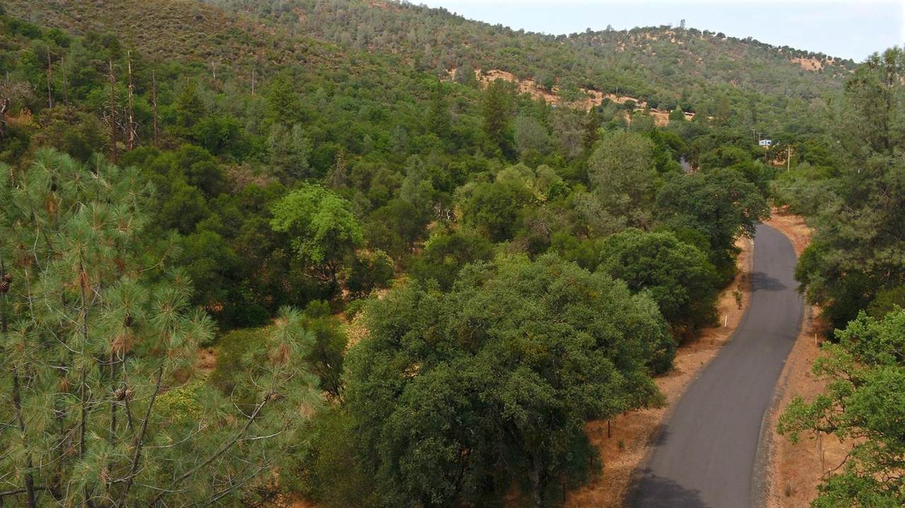 5474 Dogtown - Photo 1