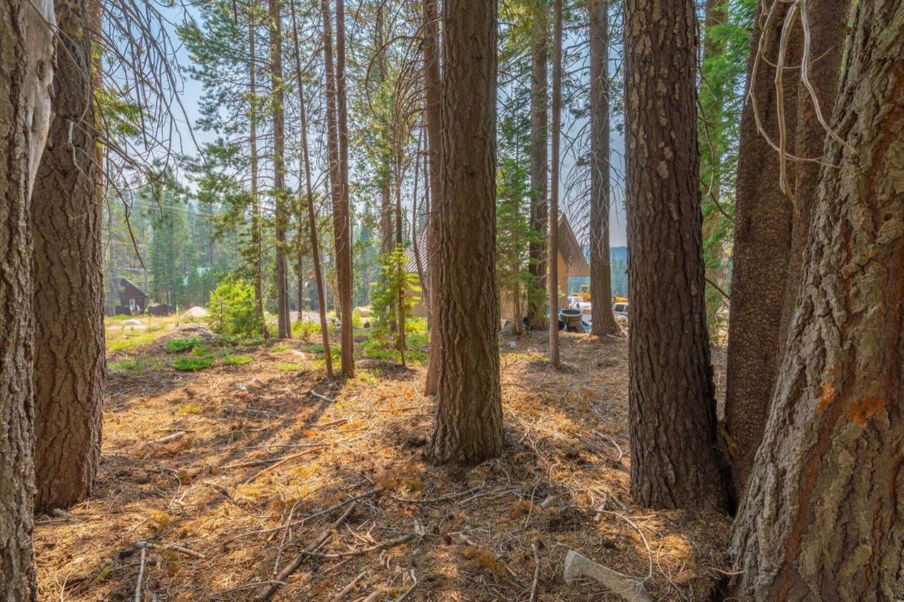 10296 Juniper Way - Photo 1