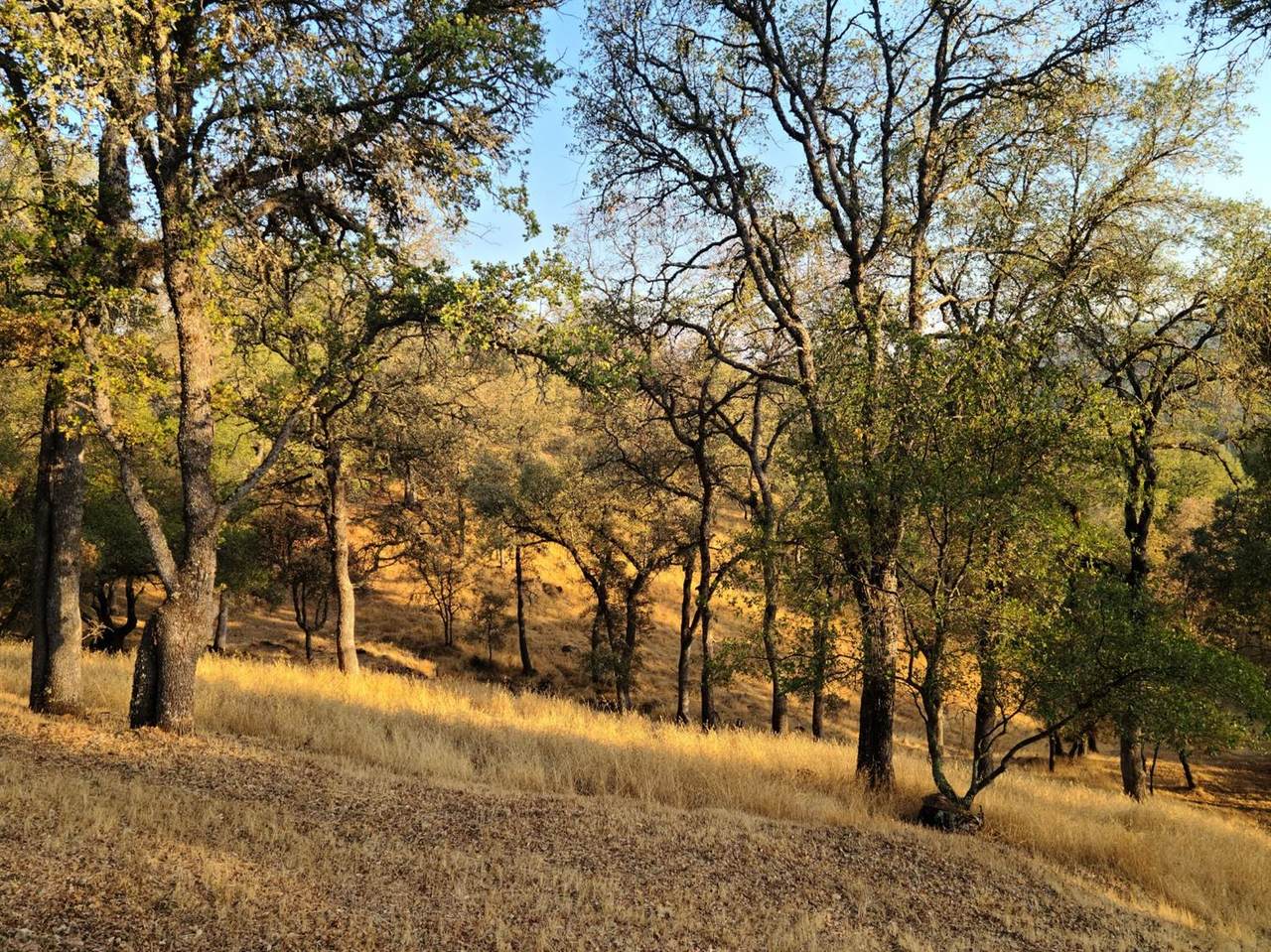 0 Baldwin - Photo 1