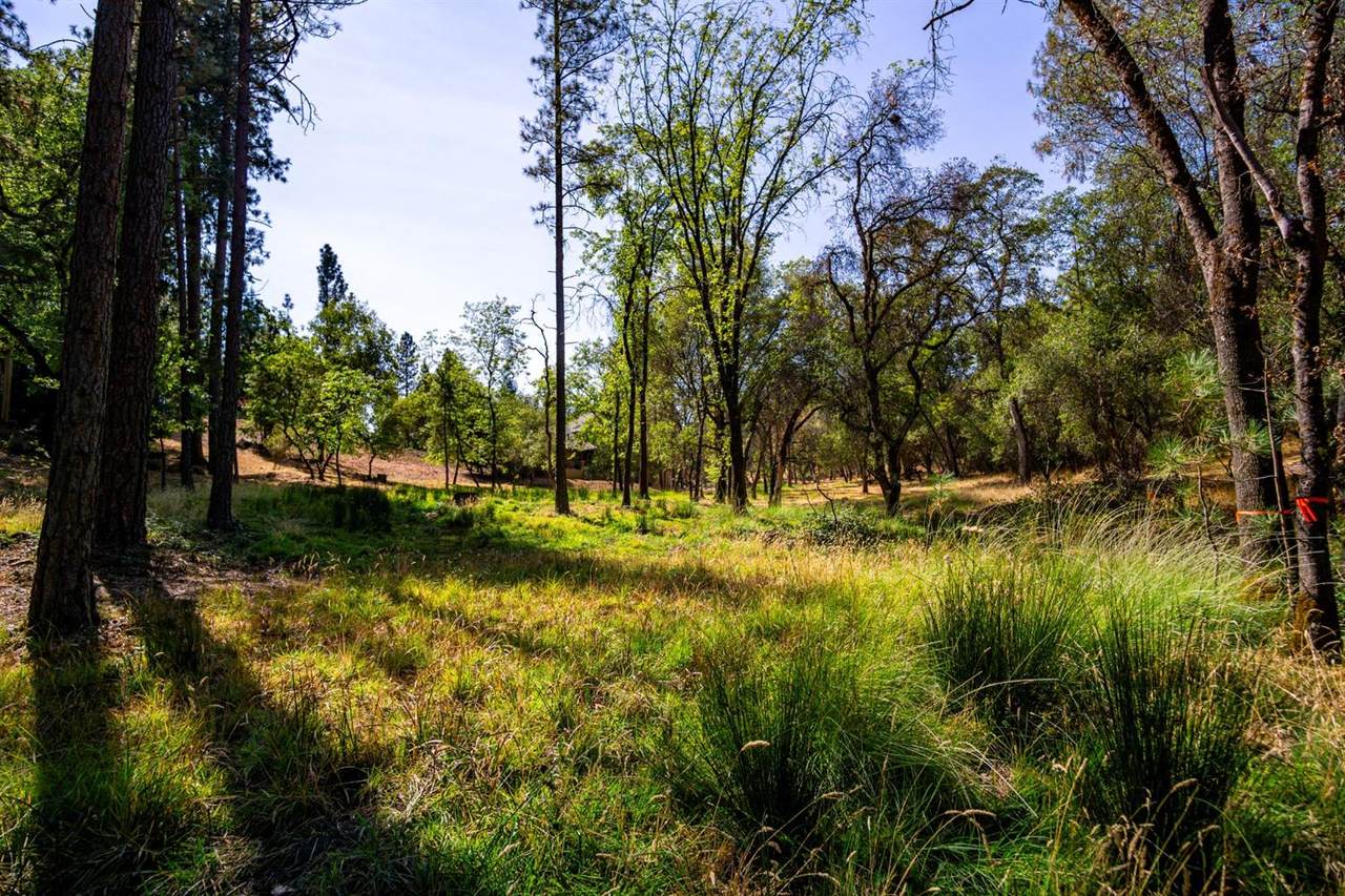 15030 Grand Knoll Drive - Photo 1