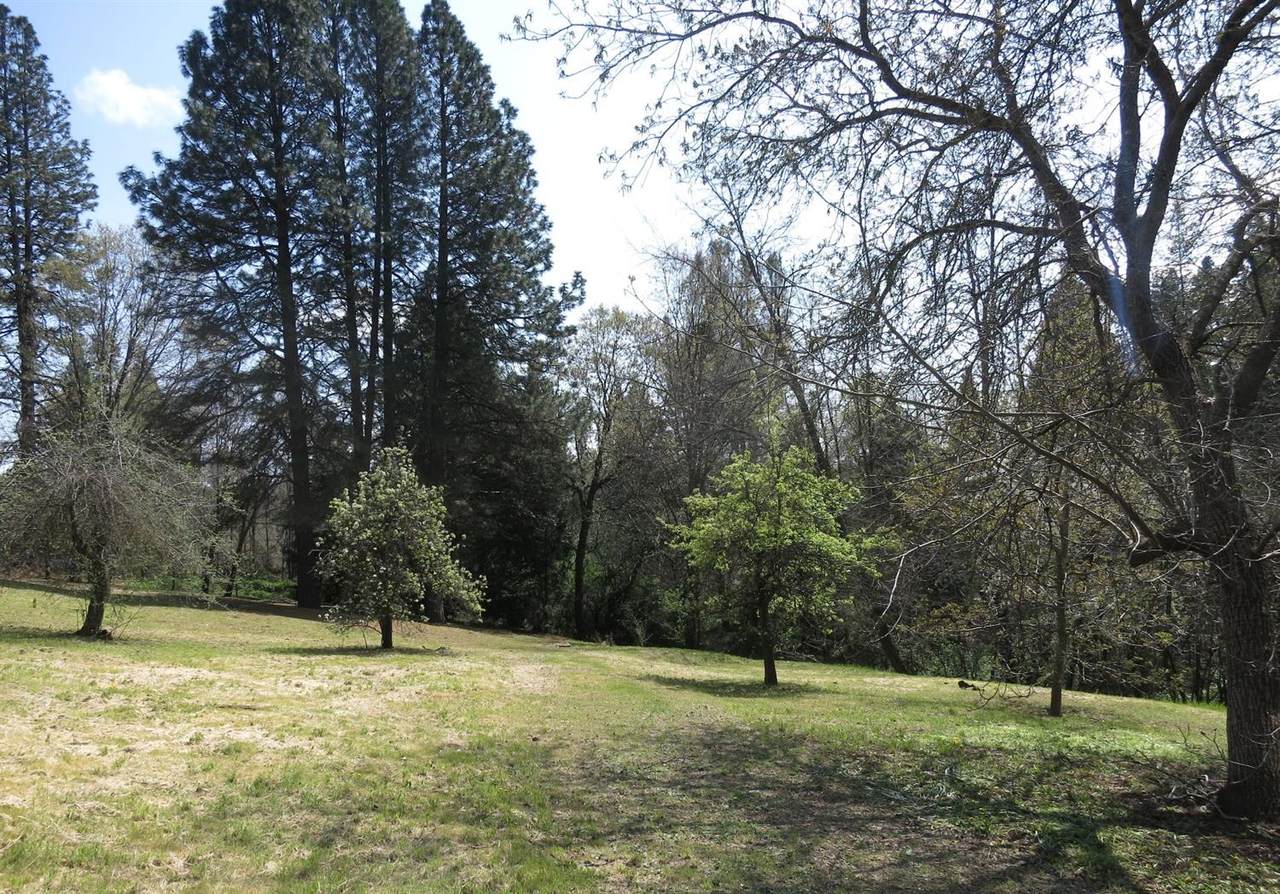 200 Collins Lane - Photo 1