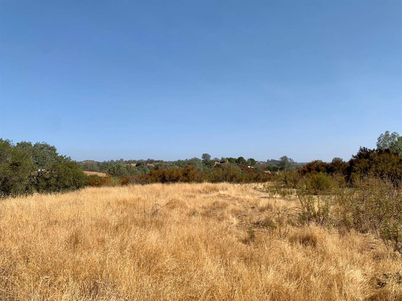 12954 Willow Creek Road - Photo 1