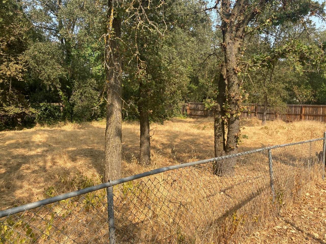 0 Grant Avenue - Photo 1