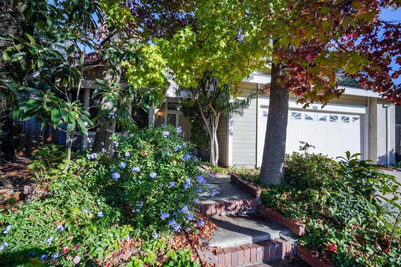 8348 Crestshire Circle - Photo 1