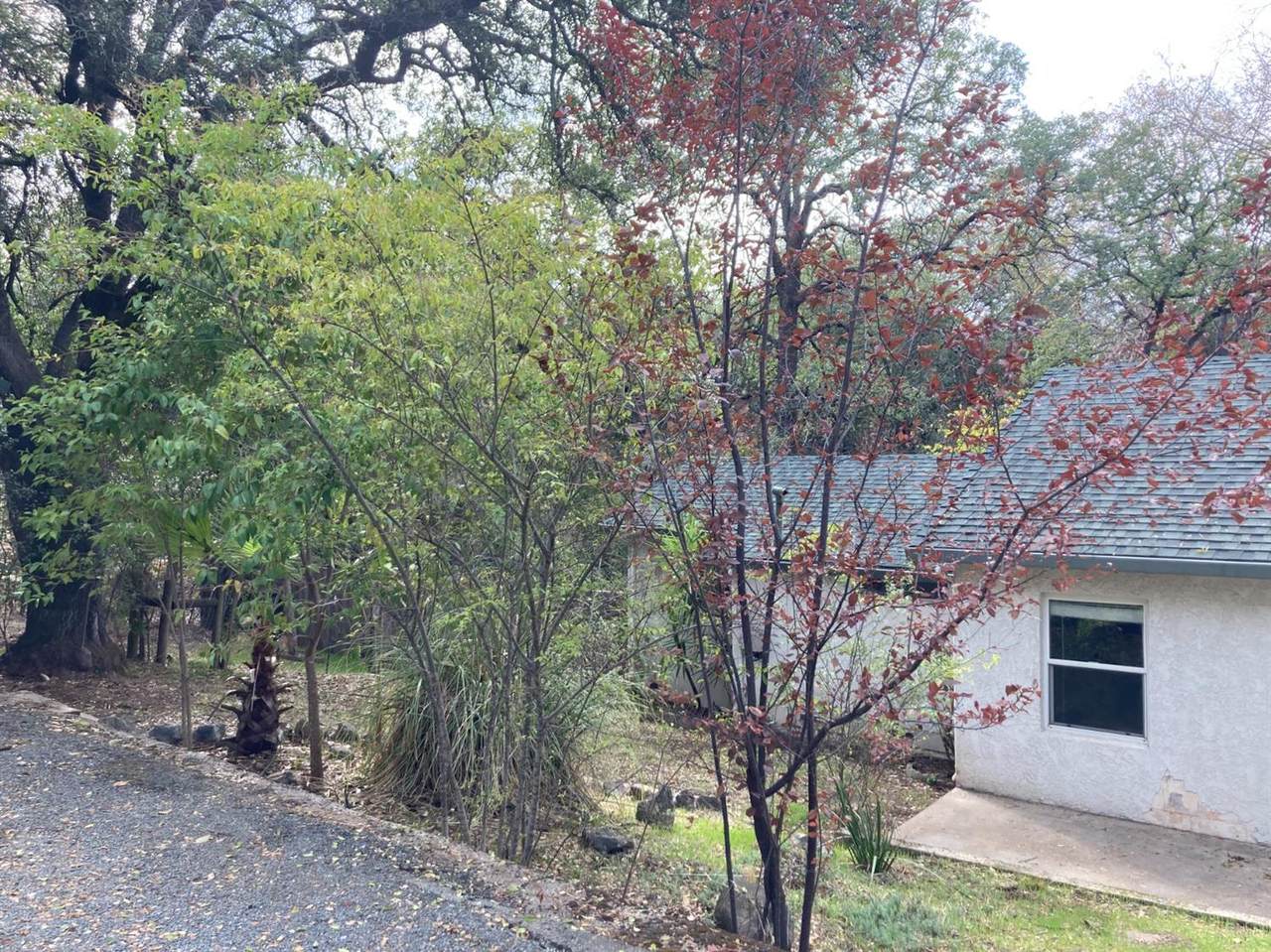 1279 Live Oak Lane - Photo 1