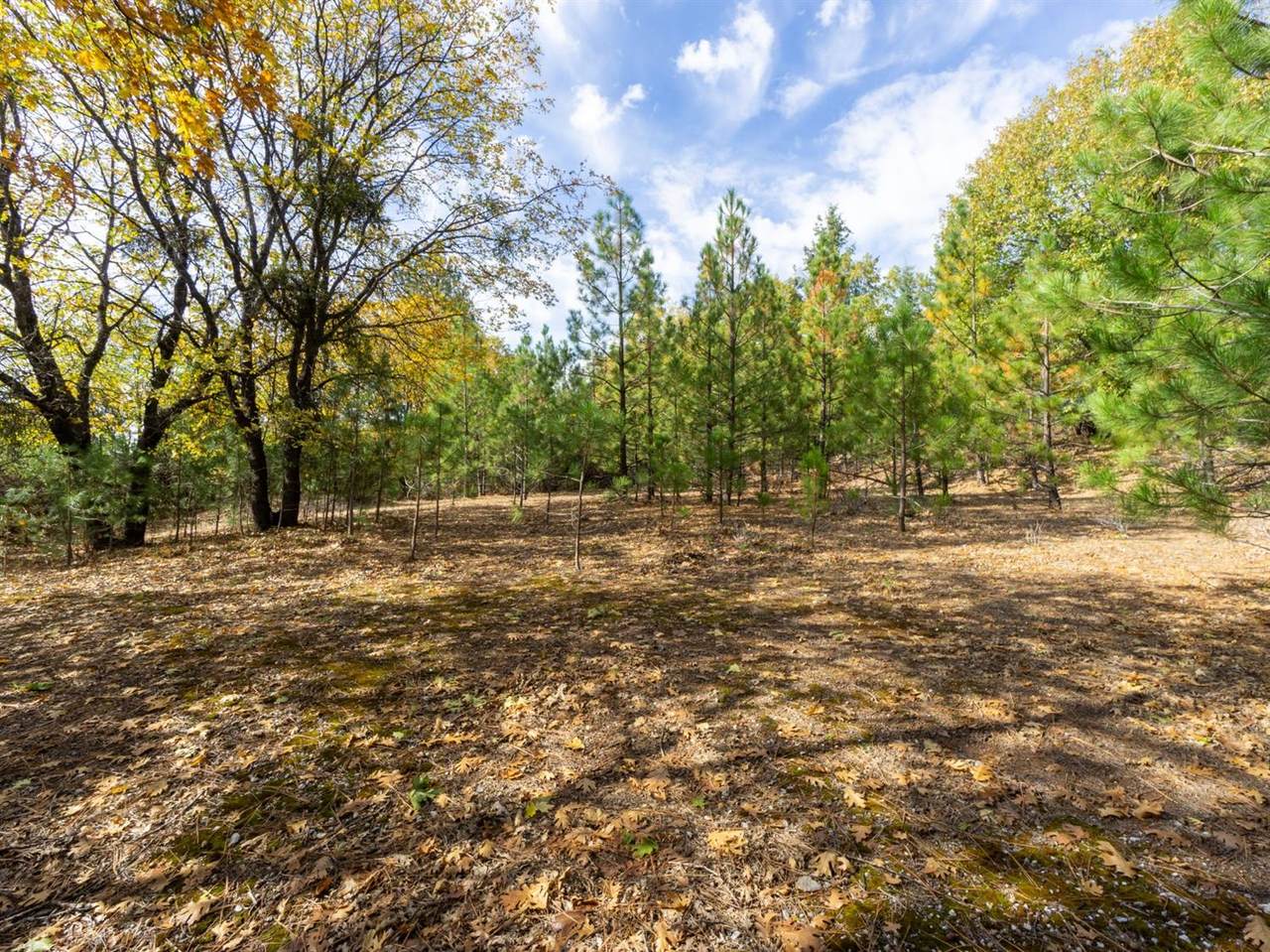 5031 Anne Louise Lane - Photo 1