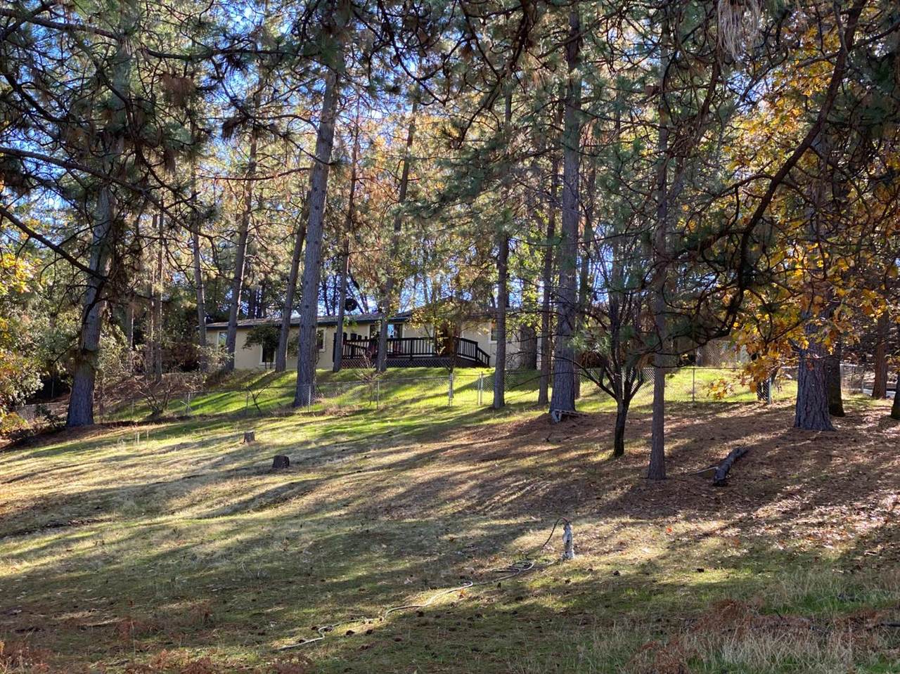 1275 Dallimore Road - Photo 1