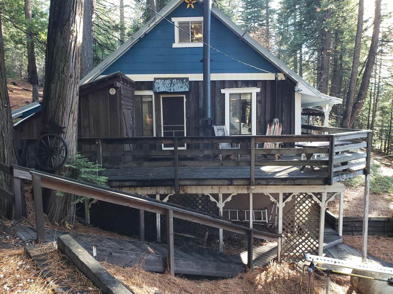 876 Blue Canyon Road - Photo 1