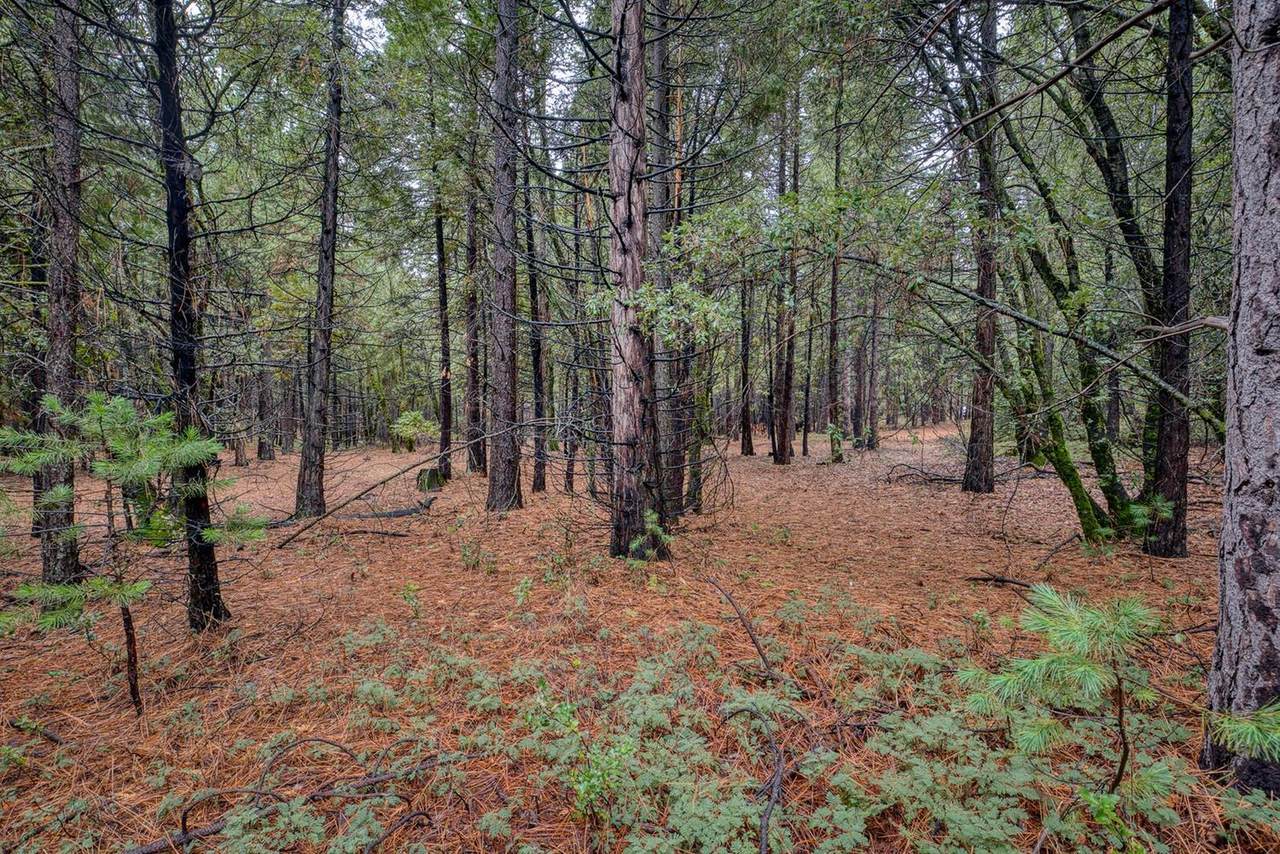 18644 Gold Creek Trail - Photo 1