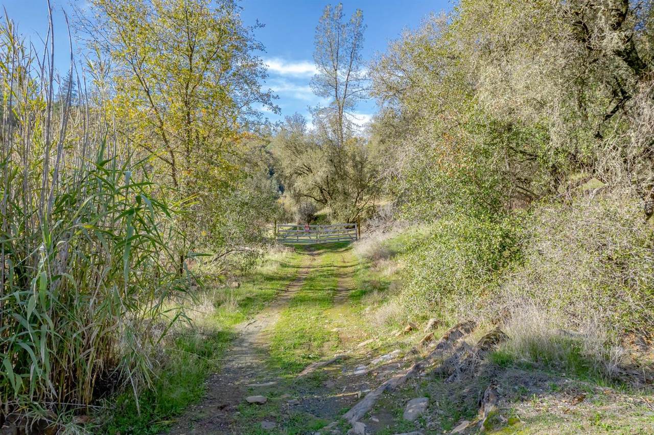 0 Bayne Road - Photo 1