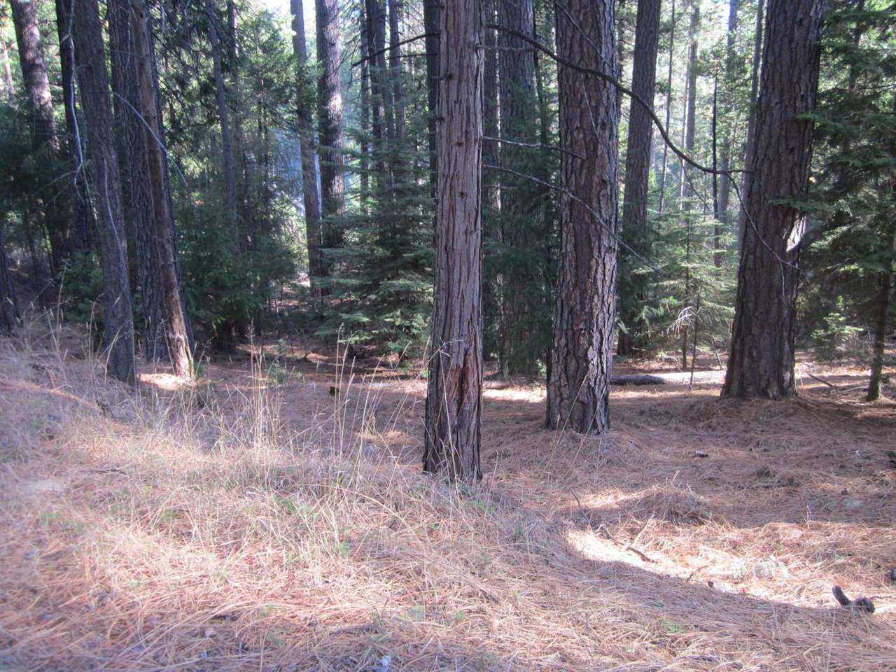 5290 Golden Aspen Drive - Photo 1