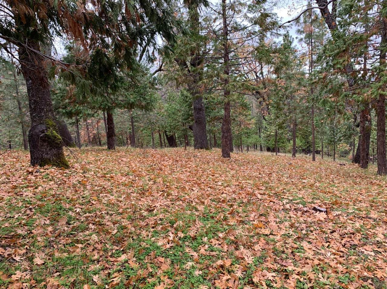5 Old Schoolhouse Road Tract 3 - Photo 1