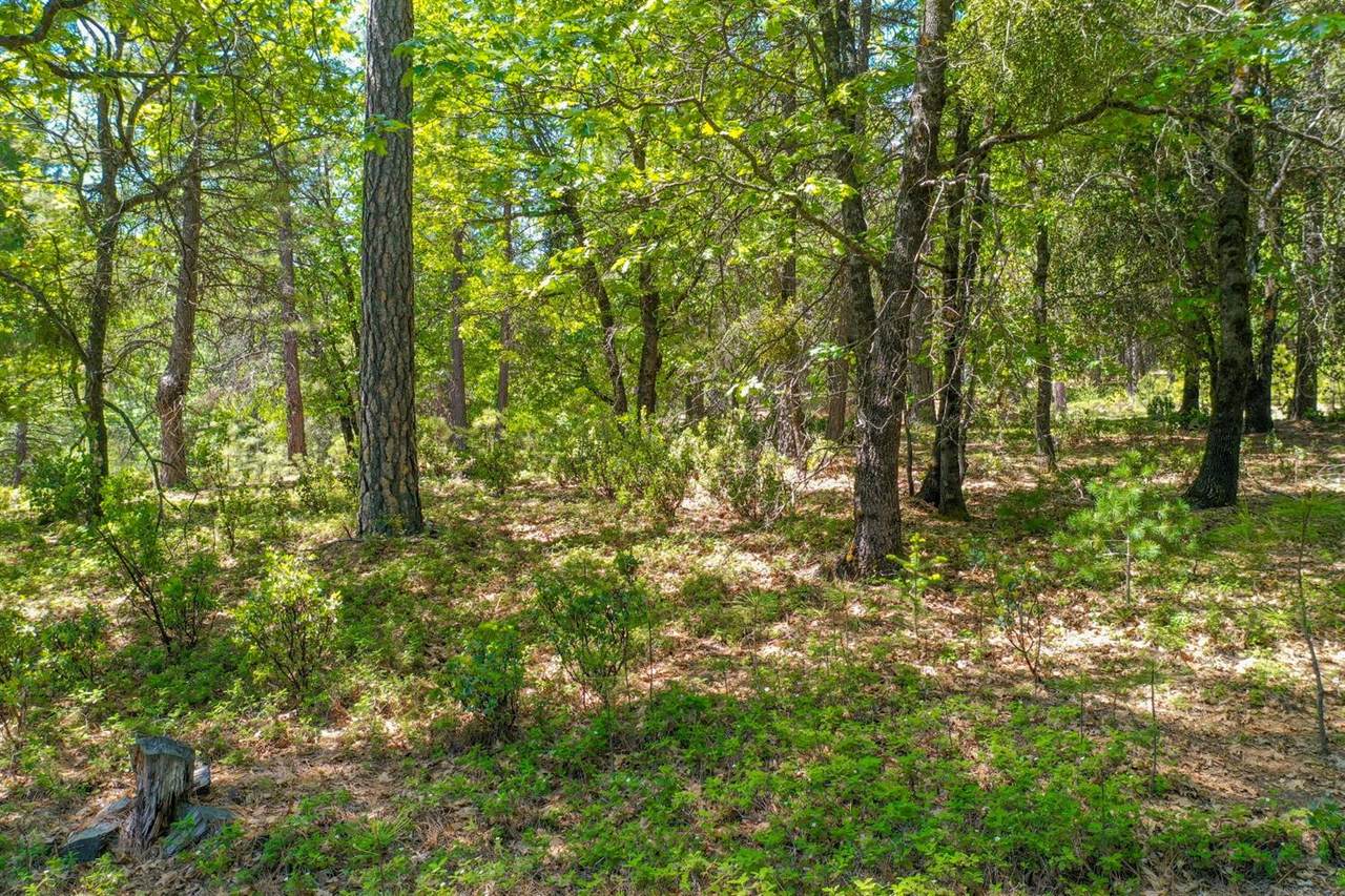 6705 Nugget Drive - Photo 1