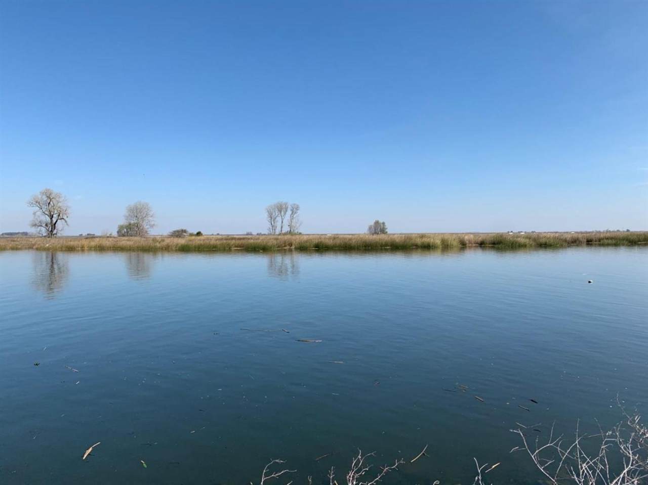 0 Brannan Island-3 - Photo 1