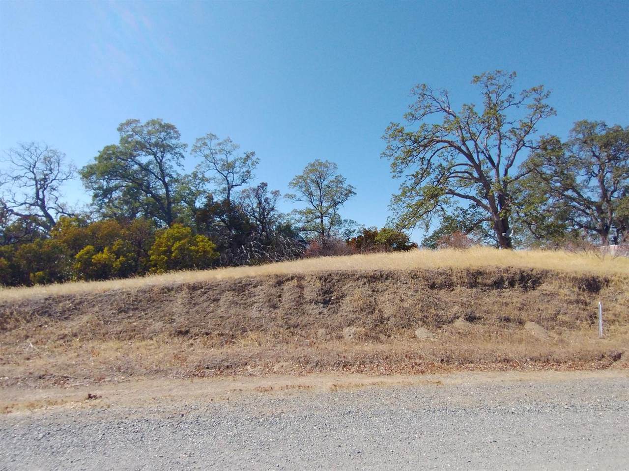 7151 Coyote Point - Photo 1