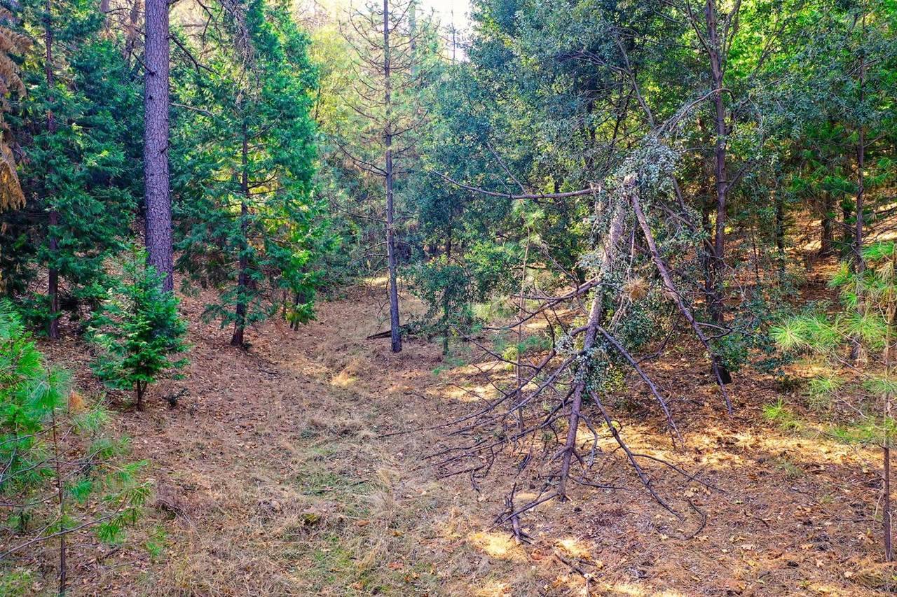19080 Connie Dr - Photo 1