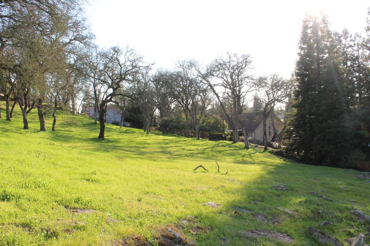 14835 Guadalupe - Photo 1