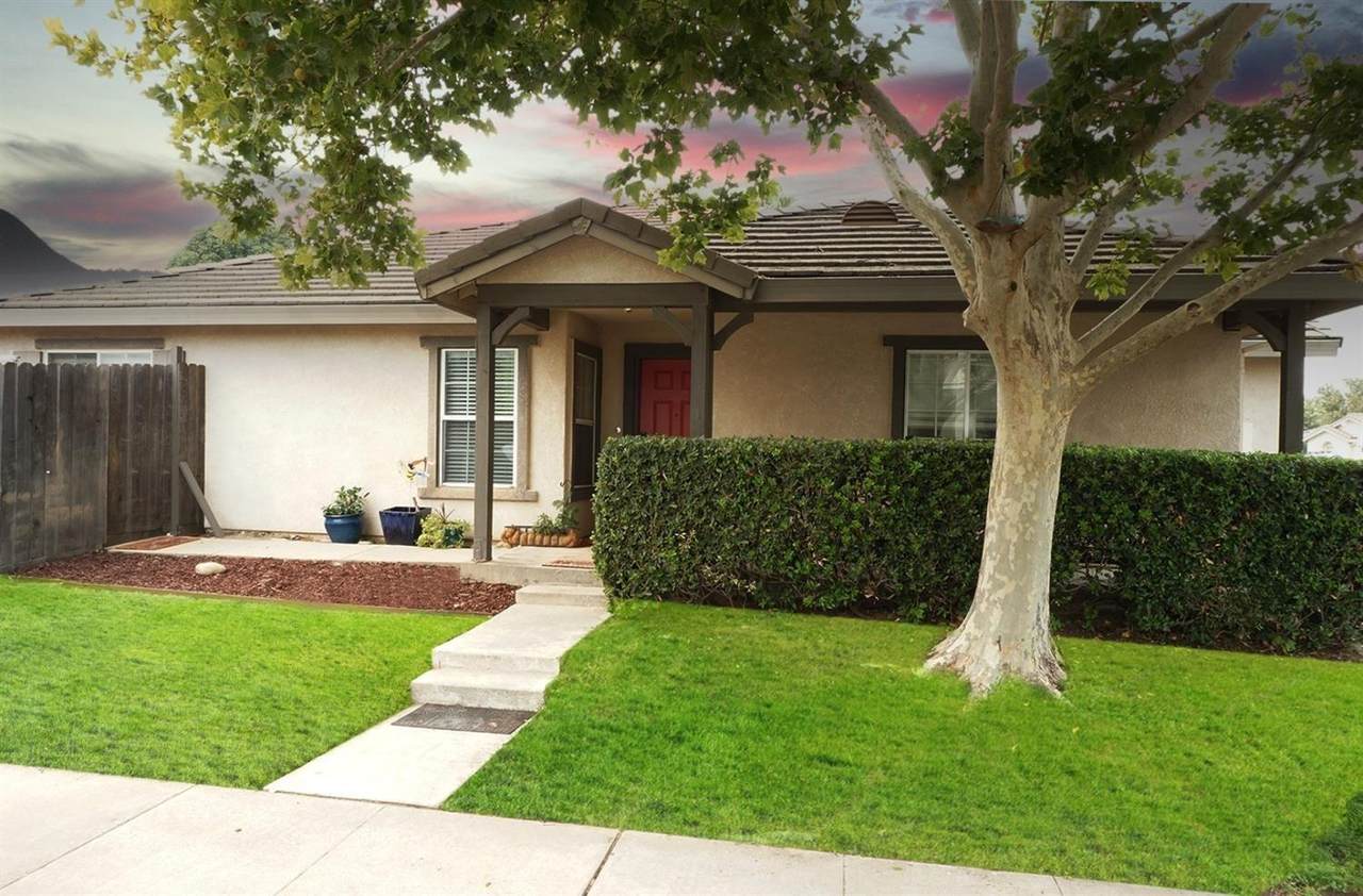 2201 Shady Arbor Drive - Photo 1