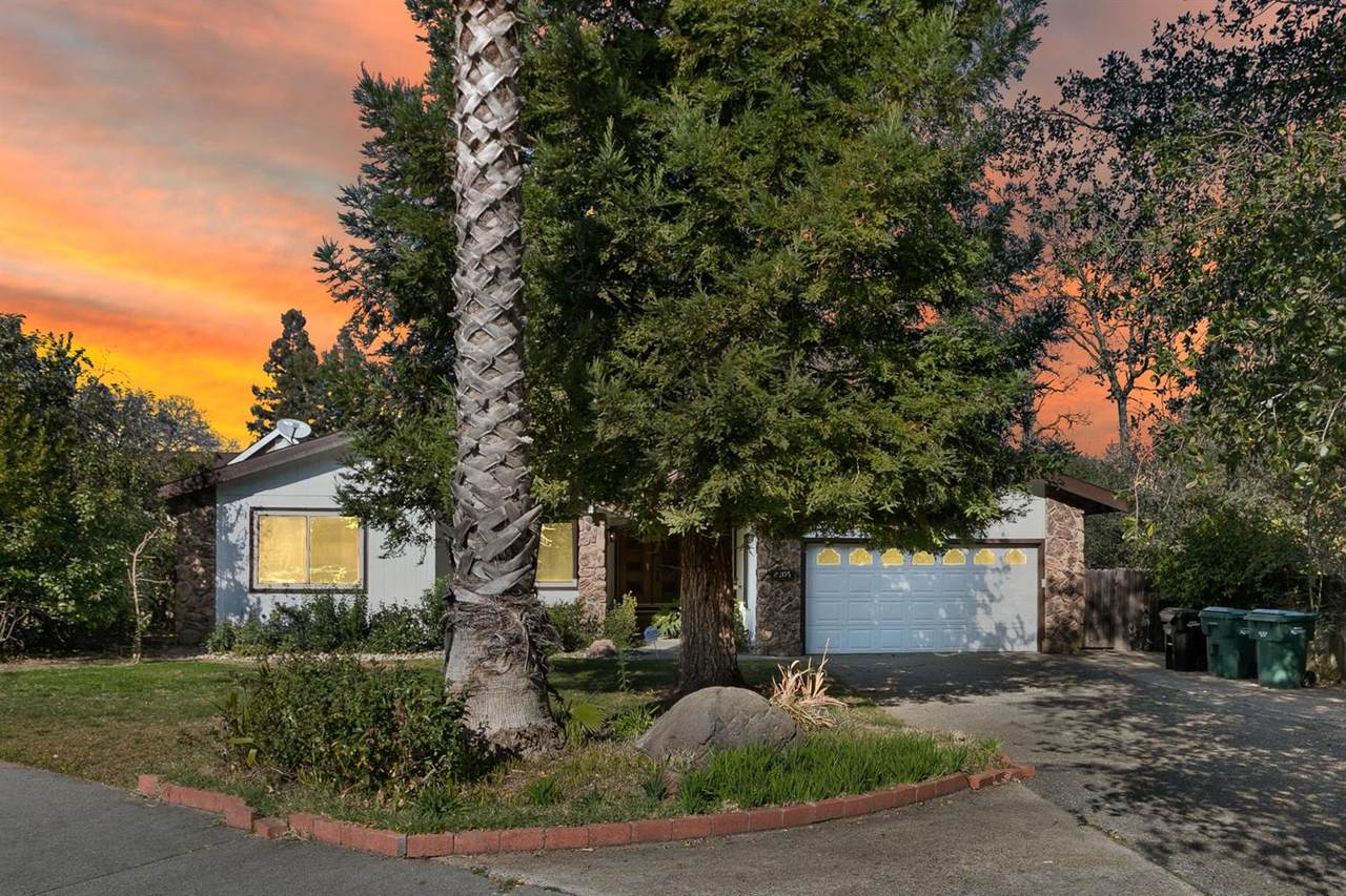 8205 Sunbonnet Drive - Photo 1