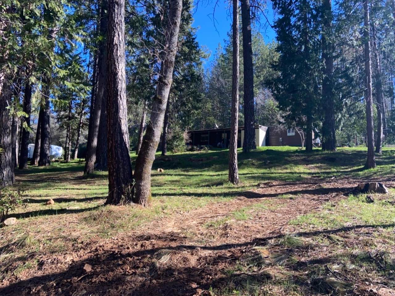 14535 Merriam Road - Photo 1