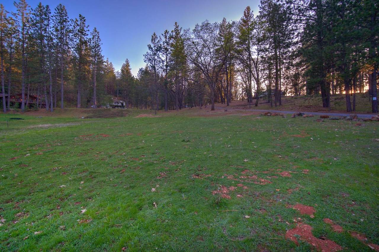 17076 Norlene Way - Photo 1