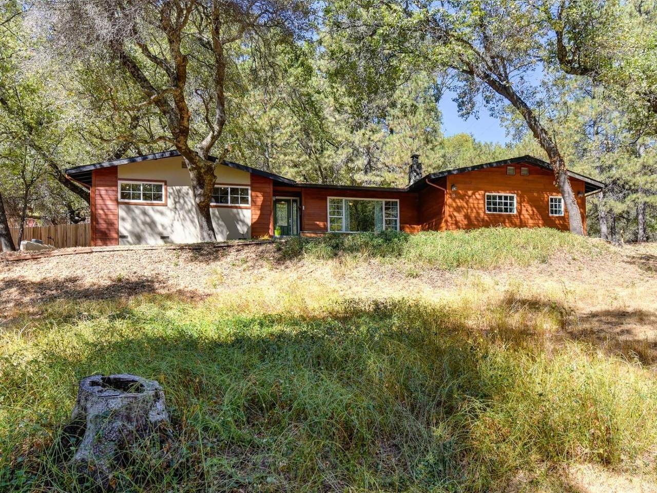 381 Golden Oak Lane - Photo 1