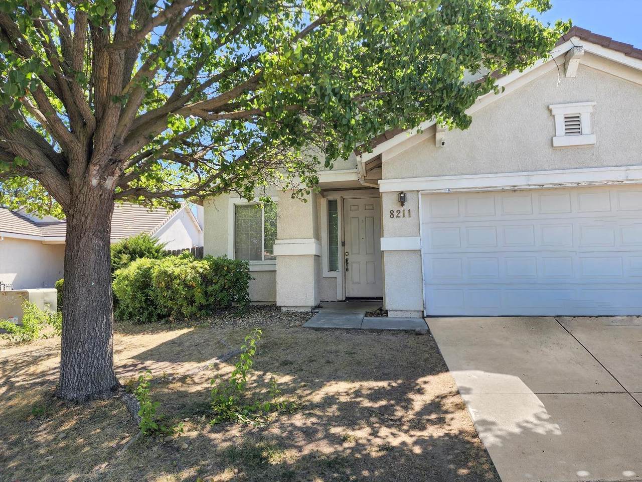 8211 Dutcher Court - Photo 1