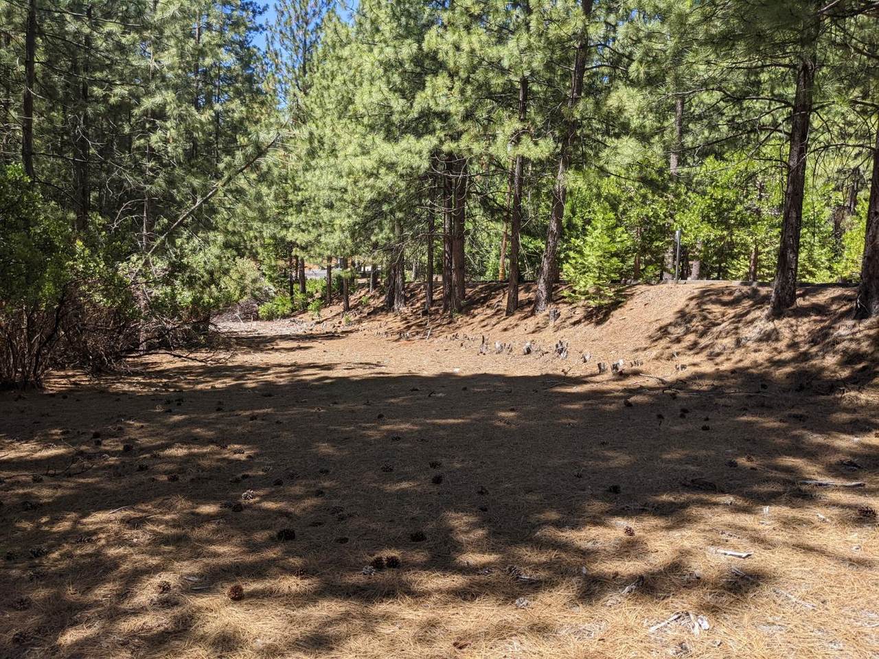 0 0 Wildrose Dr - Photo 1