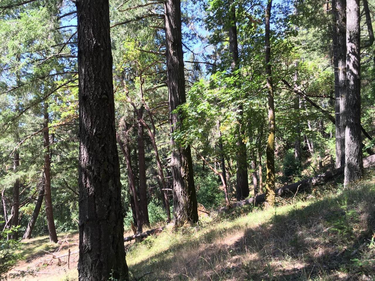 19800 Old Cazadero Road - Photo 1