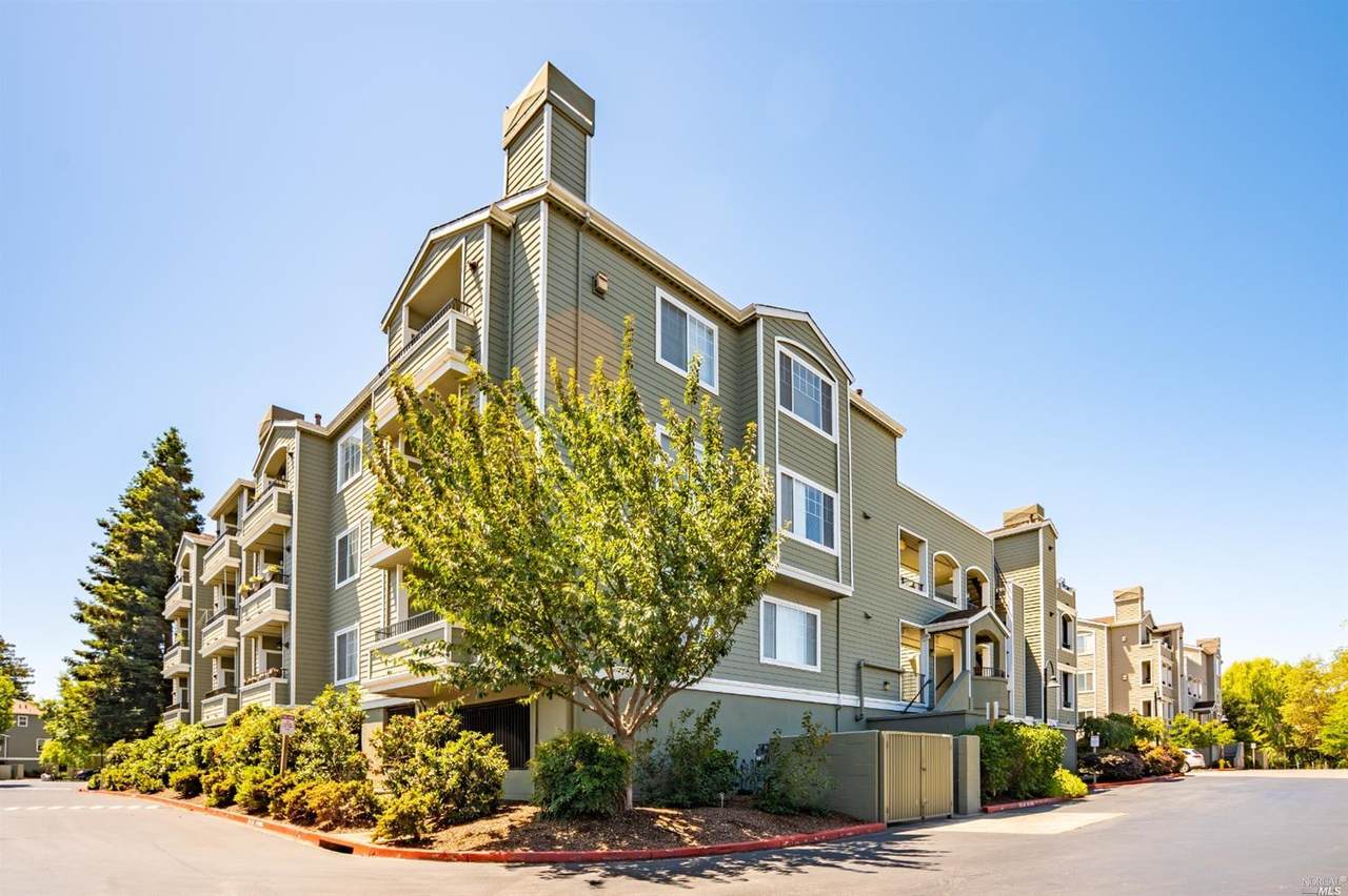 1587 Novato Boulevard - Photo 1