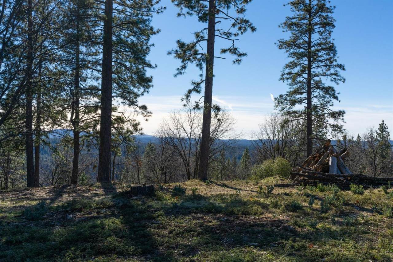15793 Black Prince Road - Photo 1