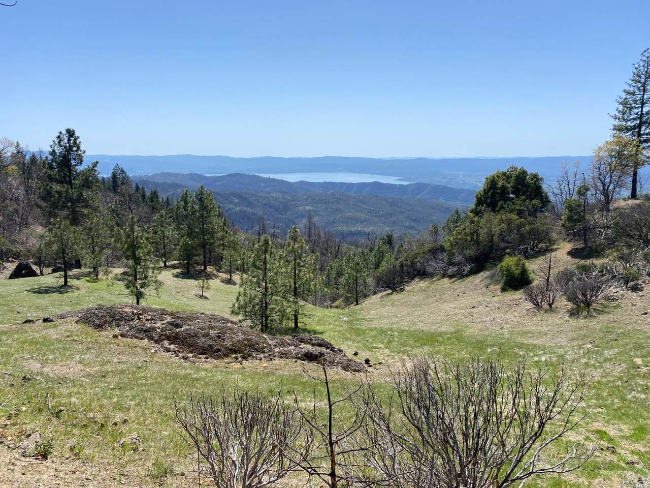 11233 Pitney Ridge Road - Photo 1