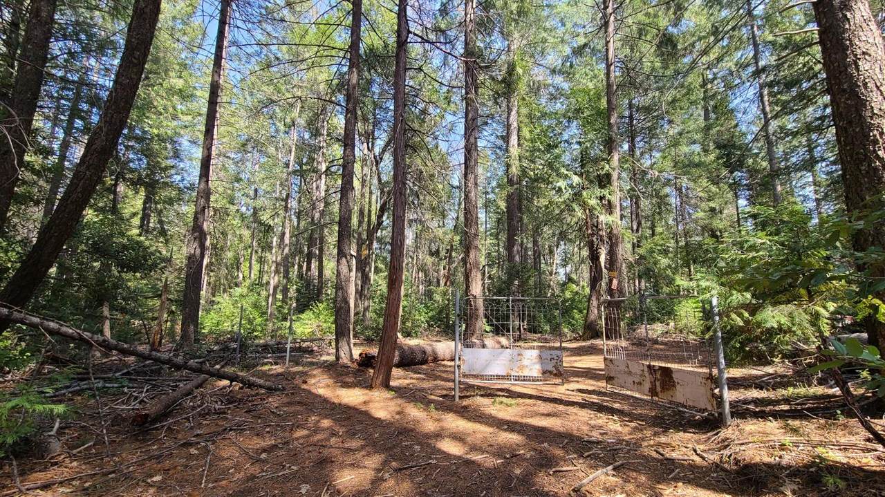 10106 Ditch Camp Road - Photo 1