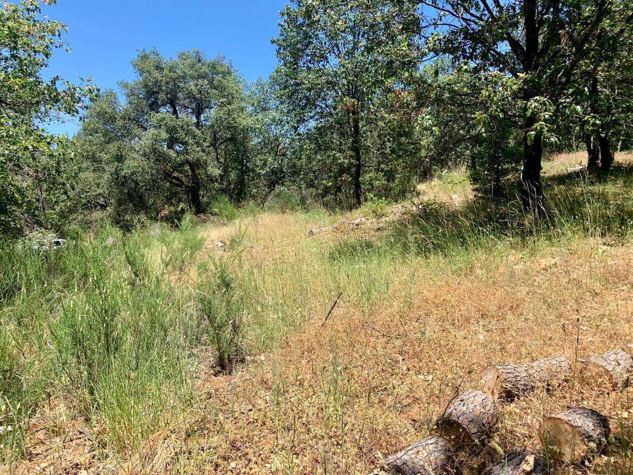 25000 Pineview Drive - Photo 1