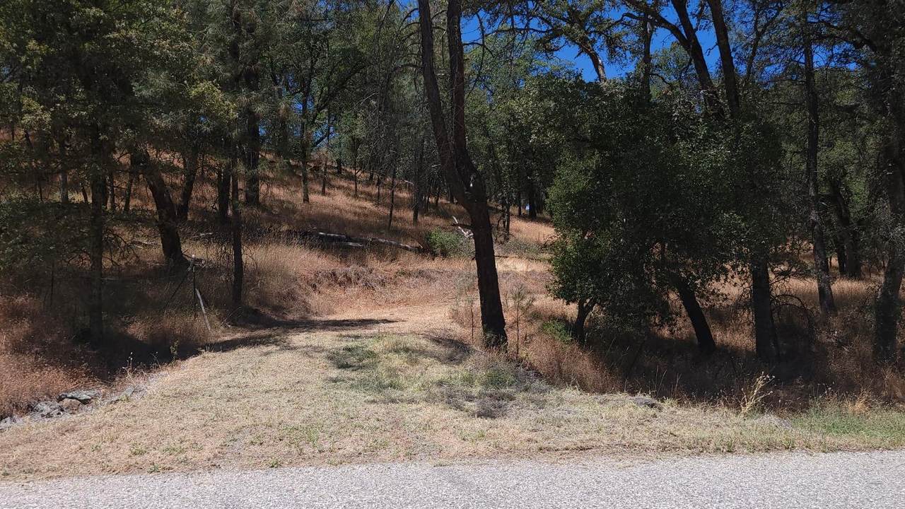 22252 Retherford Road - Photo 1