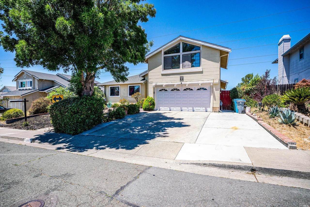299 Honeydew Drive - Photo 1