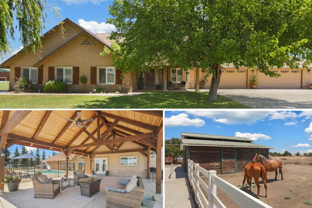 12647 Tokay Colony Road - Photo 1