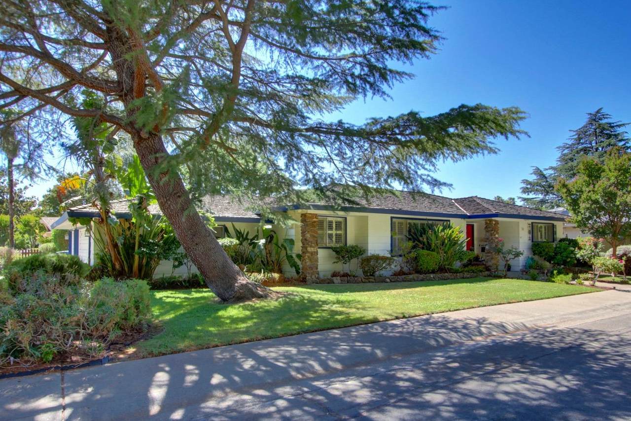 50 Parklite Circle - Photo 1