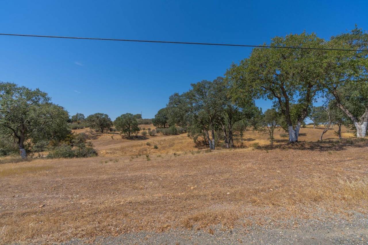7143 Ricks Drive - Photo 1