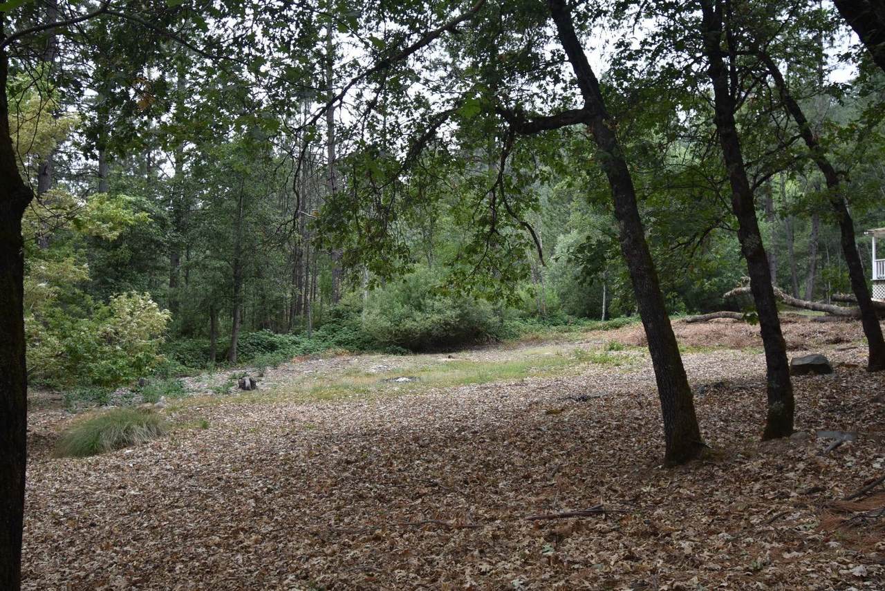 14699 Stinson Drive - Photo 1