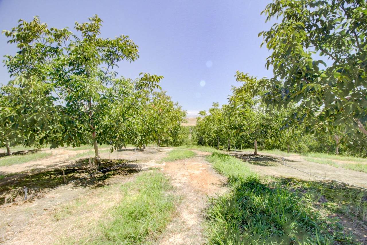 0 Lake Road - Photo 1