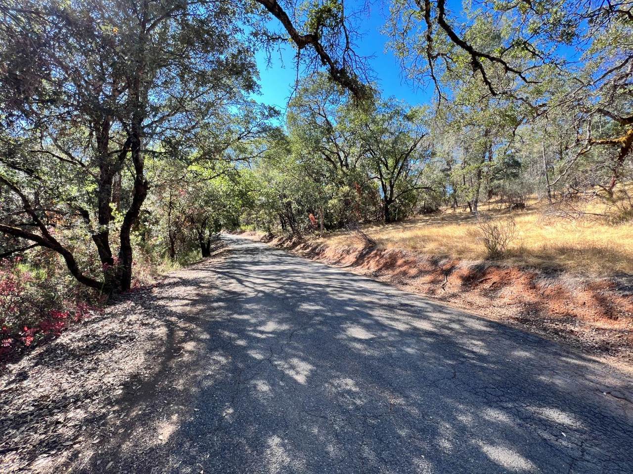 0 Greenwood Rd. - Photo 1