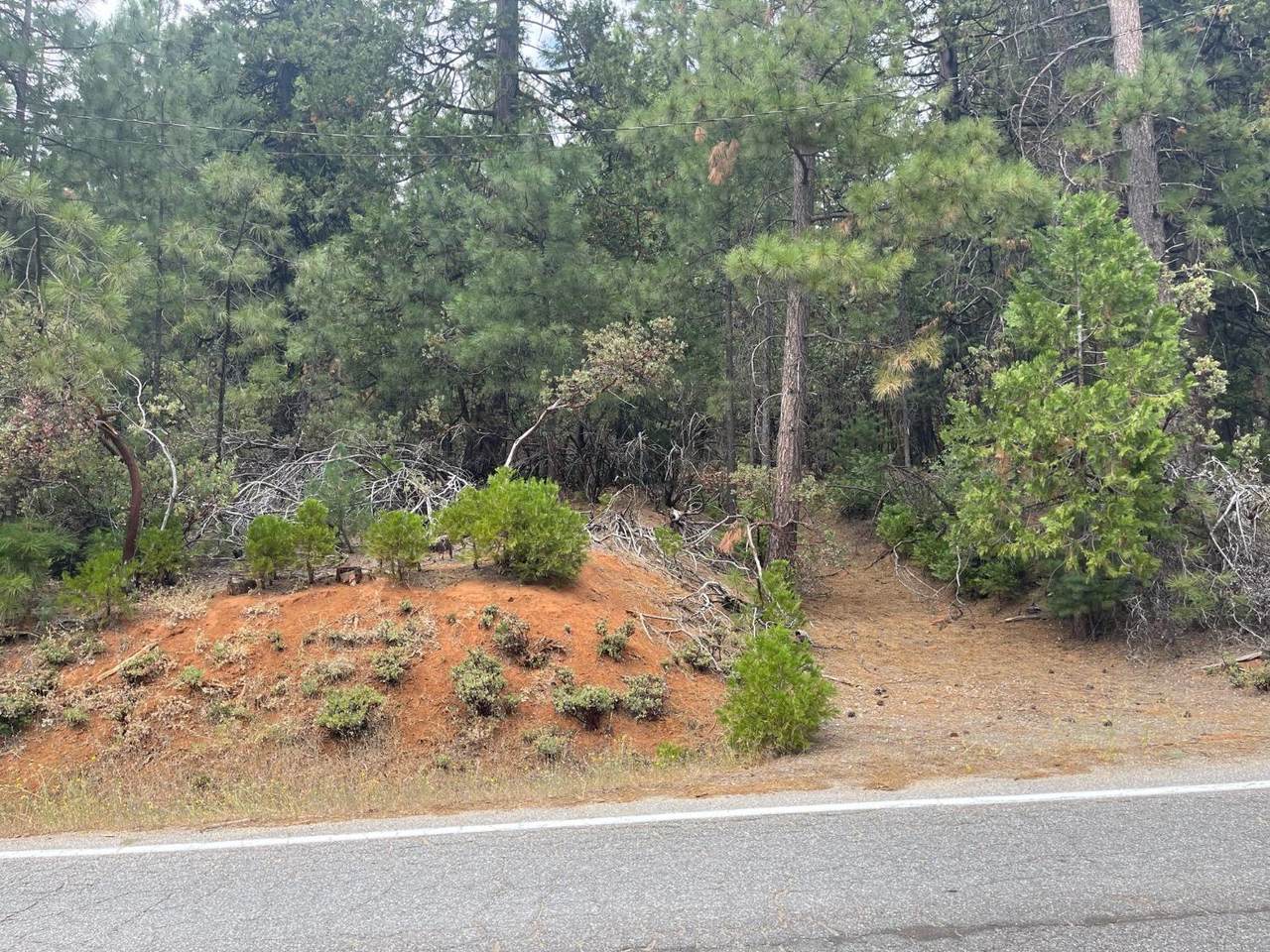 26419 Sugar Pine Dr. - Photo 1