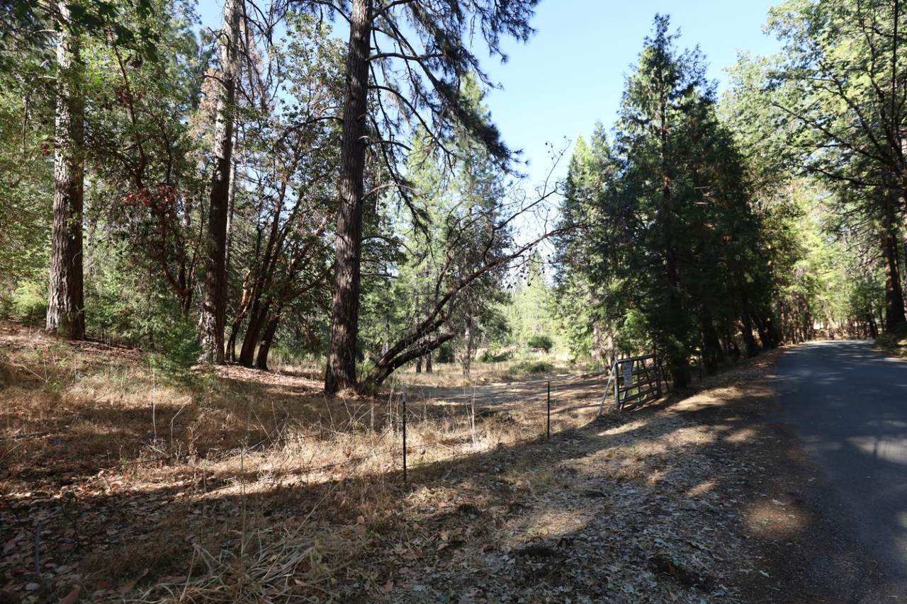 12310 Robinson Road - Photo 1