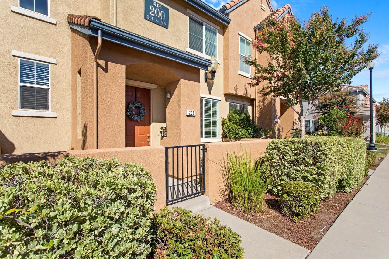 203 Dante Circle - Photo 1