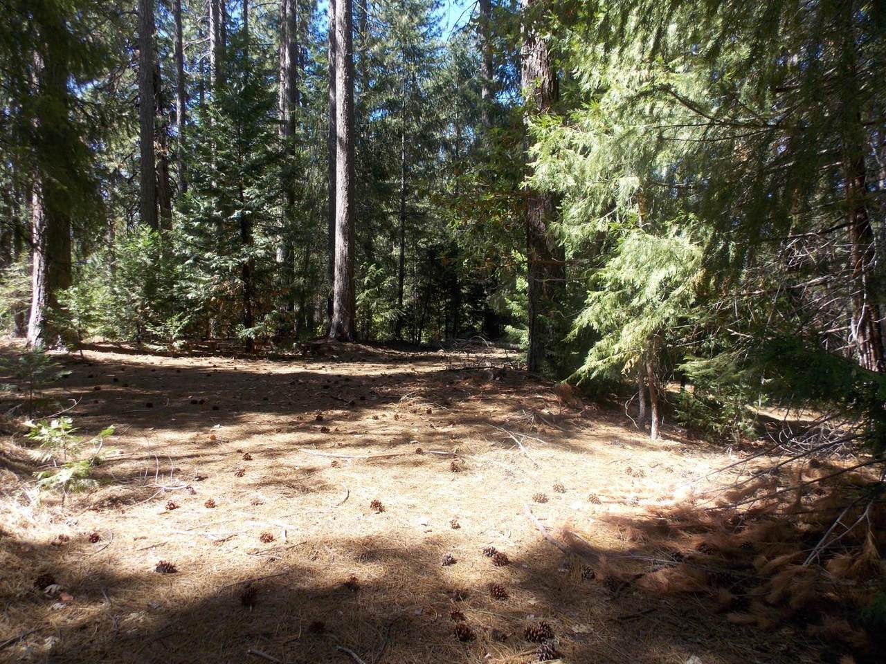 https://bt-photos.global.ssl.fastly.net/sacramento/1280_boomver_1_560417292-2.jpg