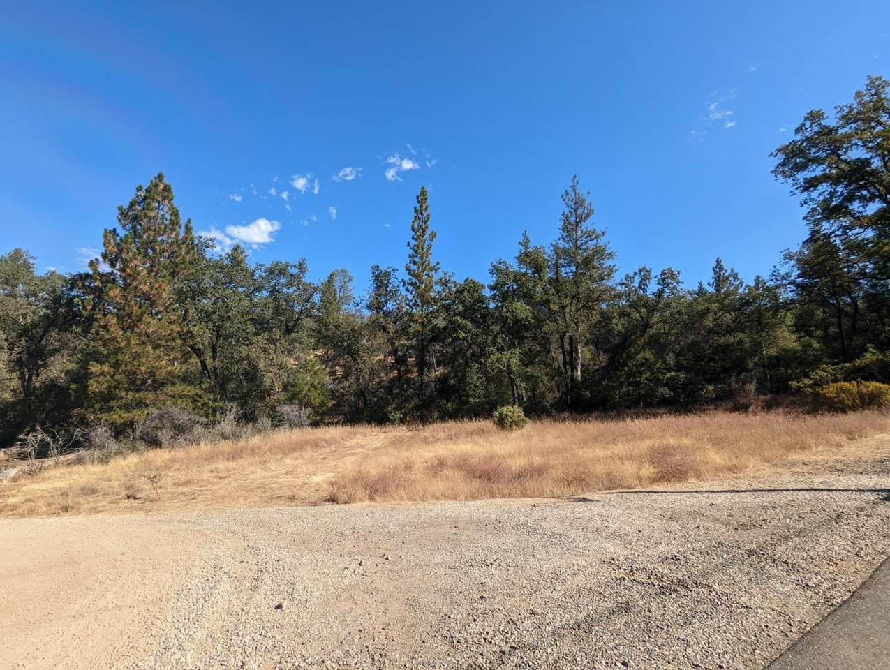 15068 Pine Rock Lane - Photo 1