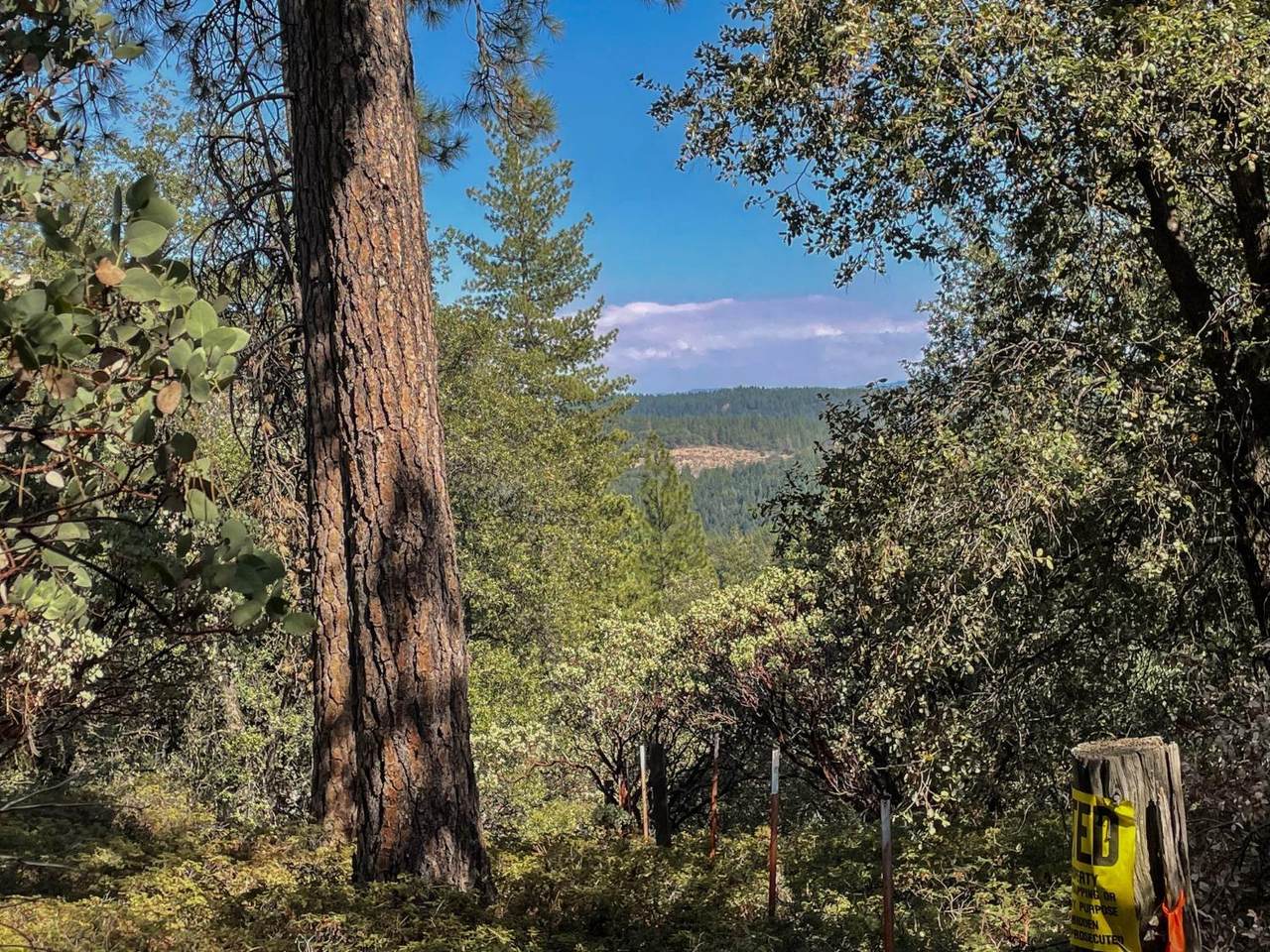 18644 Gold Creek Trail - Photo 1