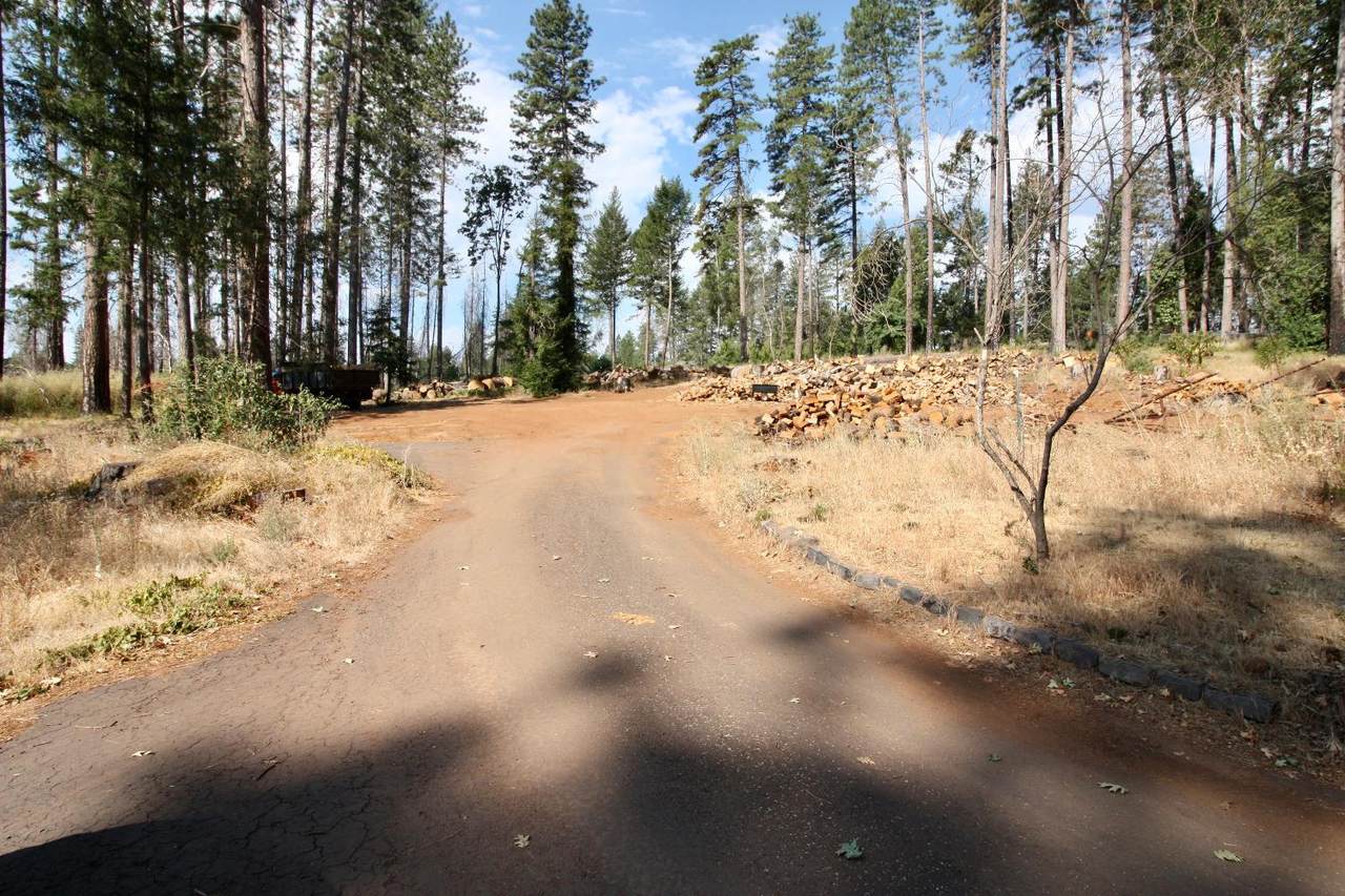 7125 Clark Road - Photo 1