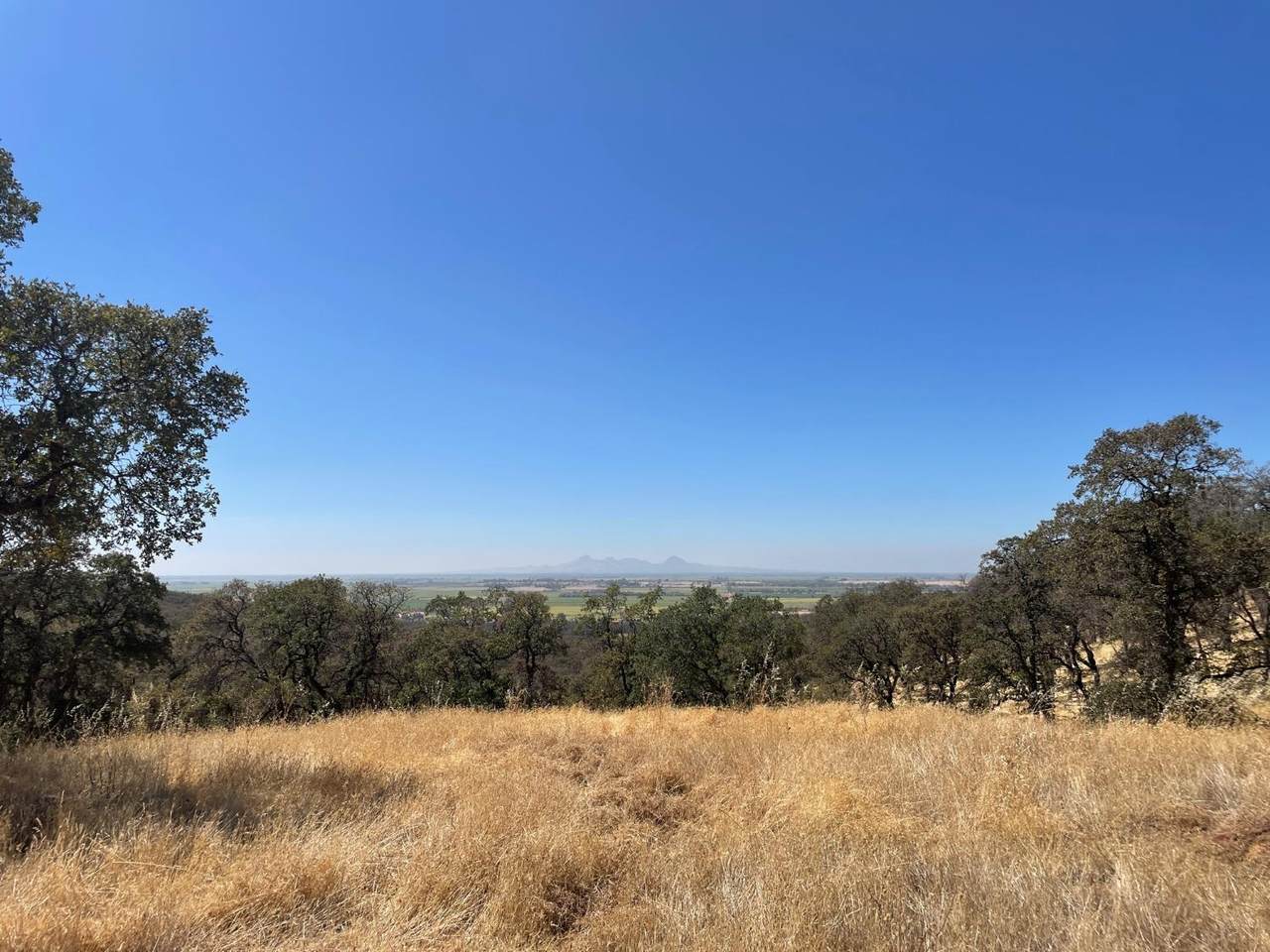 0 Oak Grove Court - Photo 1